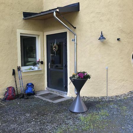 Ferienwohnung Uhlig Altenberg Eksteriør billede