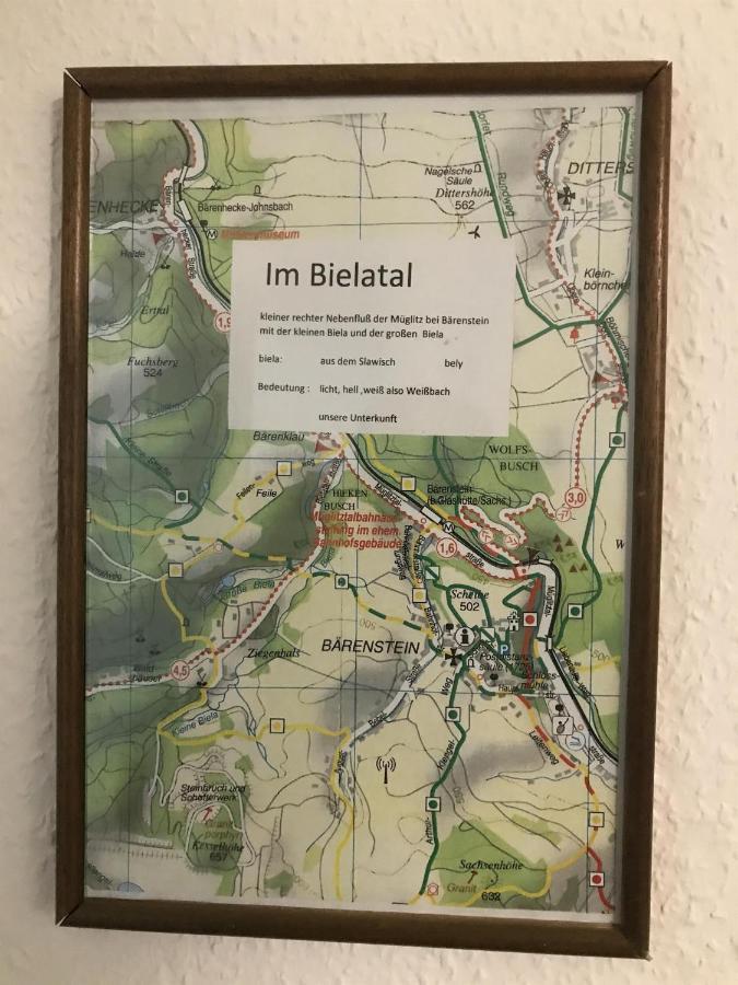 Ferienwohnung Uhlig Altenberg Eksteriør billede